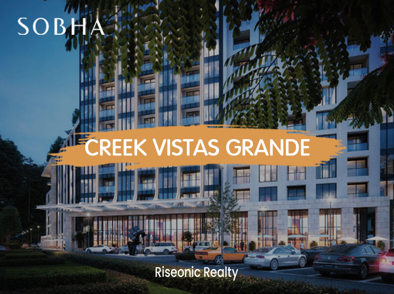 Creek Vistas Grande_Riseonic Reality